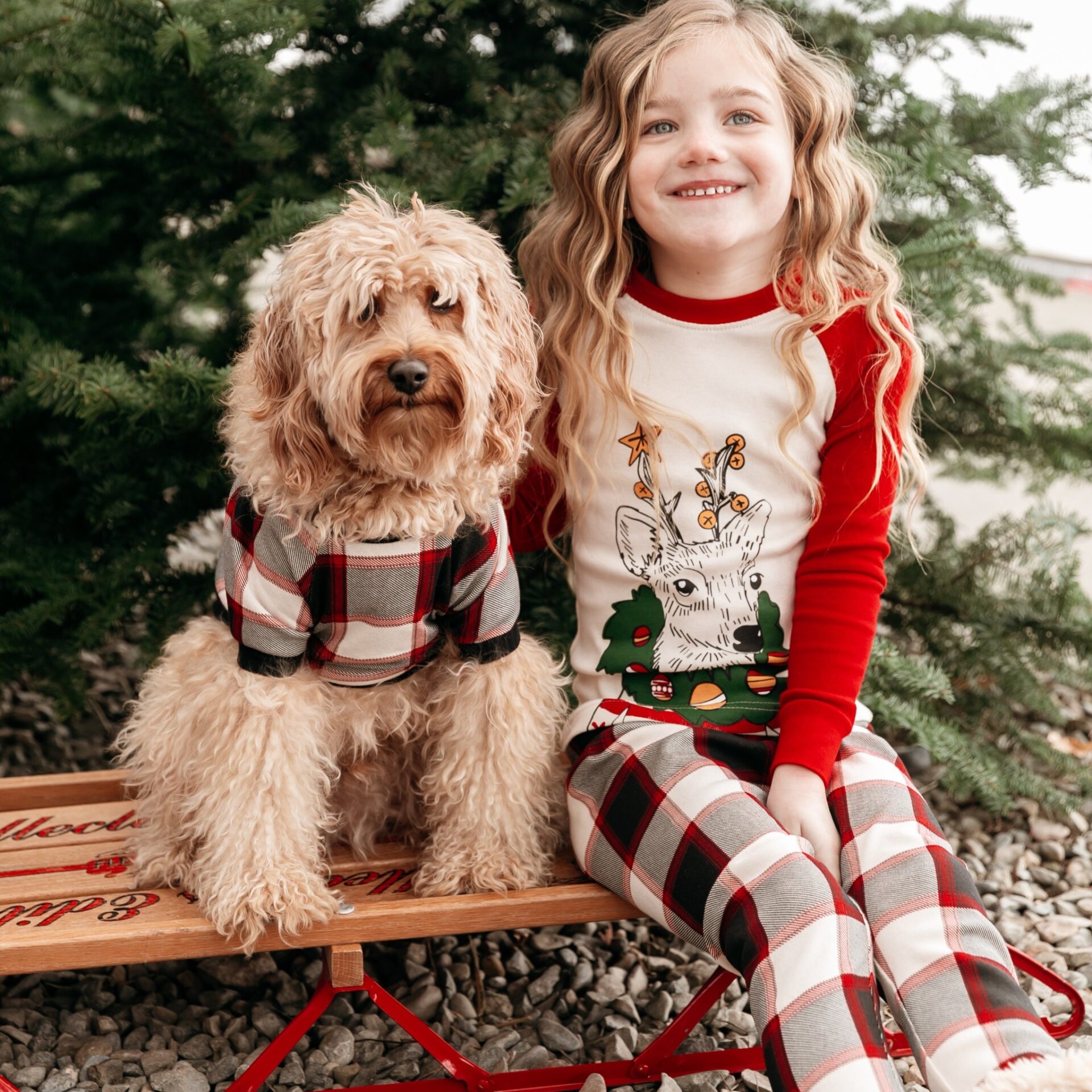 Moose Magic Winter Toddler Pajamas